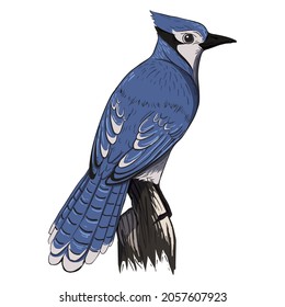 Animals Vector Art Design. Vector design download.