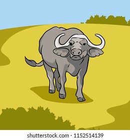 Animals vector collection buffalo