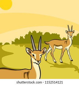 Animals vector collection deer twin