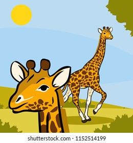 Animals vector collection giraffe twin view