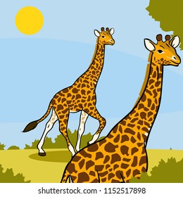 Animals vector collection twin giraffe