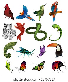 animals vector composition