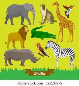 Animals Vector Design Illustration