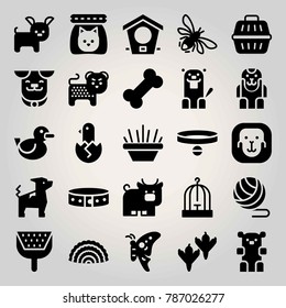Animals vector icon set. little box, collar, bull and ape