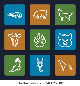 Animals vector icons. Set of 9 Animals outline icons such as giraffe, animal paw, pig, alligator, eagle, scorpion, wolf