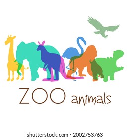 Animals vector illustration. Animals for the zoo. Can be used for banners and logos