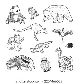 Animals vector line illustrations set: panda bear, owl, bear, anteater, kangaroo, koala, platypus, raccoon, llama.