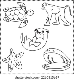 Animals vector starfish baboon turtle oyster otter pictures animal pictures for kids and for relevant uses