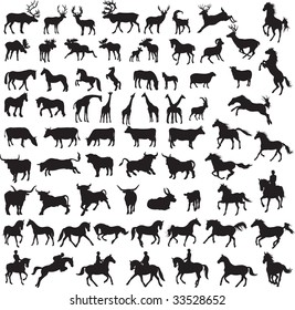 Animals vector vol_4