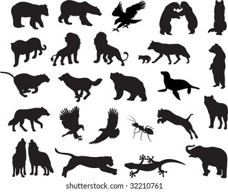 Animals vector vol_6