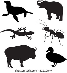 Animals vol_1 vector