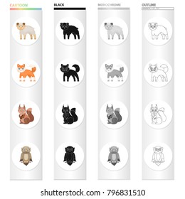 Animals, wild, domestic, and other web icon in cartoon style.Sheep, wool, fur, icons in set collection.