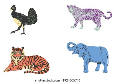 animals wild domestic pet animals illustrations