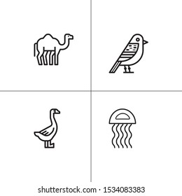 Animals wild and pets lineal icon set