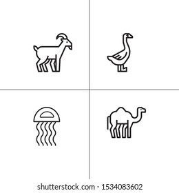 Animals wild and pets lineal icon set