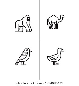Animals wild and pets lineal icon set
