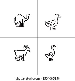 Animals wild and pets lineal icon set