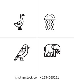 Animals wild and pets lineal icon set