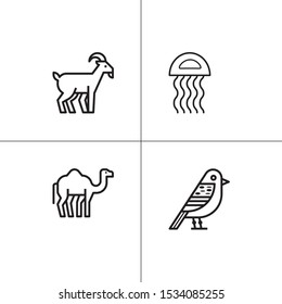 Animals wild and pets lineal icon set