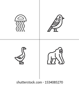 Animals wild and pets lineal icon set