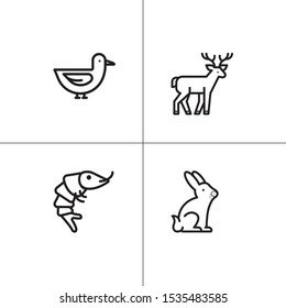 Animals wild and pets lineal icon set