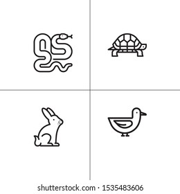 Animals wild and pets lineal icon set
