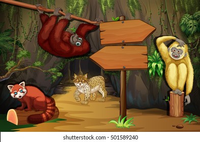 Animals in the woods with cave