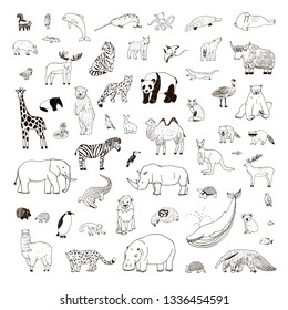Animals of the world illustrations  hand drawn line vector set