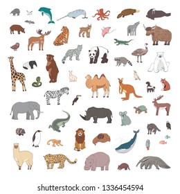 Animals of the world illustrations  hand drawn vector set