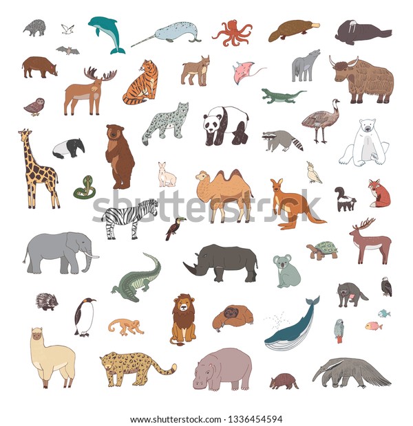 Animals World Illustrations Hand Drawn Vector Stock Vector (Royalty ...