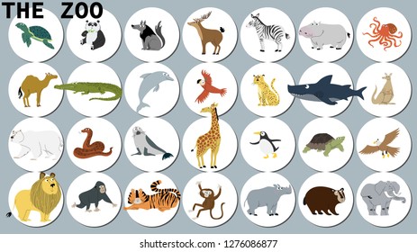 Animals of the world set.vector cartoon flat illustration