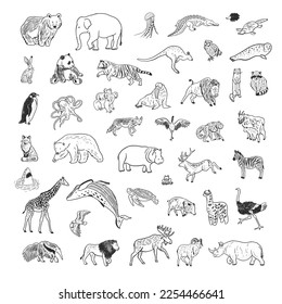 Animals world vector illustrations set.