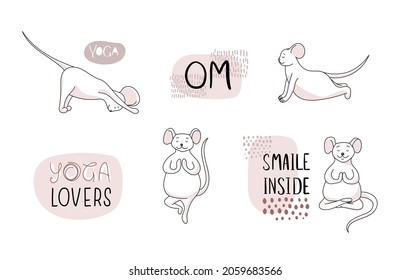 Animals yoga. Funny white mice are doing yoga. Vector illustration of characters in assans.