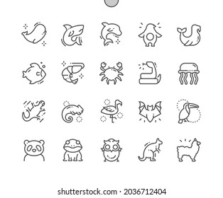 Animals. Zoo, marine animals and mammals. Shark, dolphin, penguin, fish, snake, jellyfish, chameleon, flamingo, panda and other. Pixel Perfect Vector Thin Line Icons. Simple Minimal Pictogram