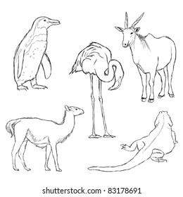 animals in zoo - part two