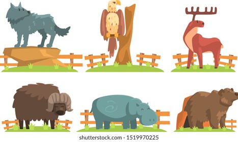 Animals in the Zoo Set, Hippo, Eagle, Bear, Bison, Wolf, Deer Vector Illustration