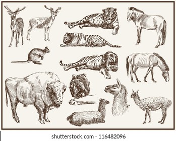 animals from the zoo. set of isolated vector sketches