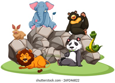 Animals in the zoo sitting on rocks and grass