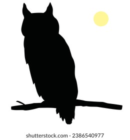 Animals-Sitting Owl Silhouette on a Tree Branch