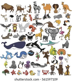 Animals,wildlife