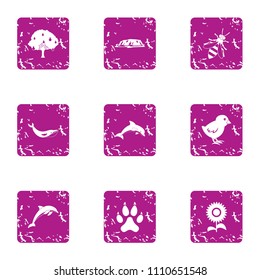 Animate essentiality icons set. Grunge set of 9 animate essentiality vector icons for web isolated on white background