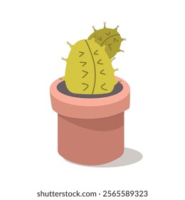 Animated cacti. Cactus illustration. Cactus cartoon. Cactus design. House plant. Succulent plant.