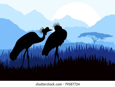 Animated crane couple in wild nature landscape illustration