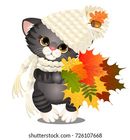 Animated cute grey kitten in a warm knitted hat with pompom holding in paws a bundle of colorful dried leaves of trees isolated on white background. Golden autumn. Vector cartoon close-up illustration
