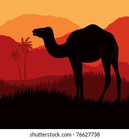 Animated Dromedary Camel In Wild Africa Foliage