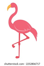 Animated Flamingo Tropical Bird Wild Animal Isolated on White Background Icon Clipart