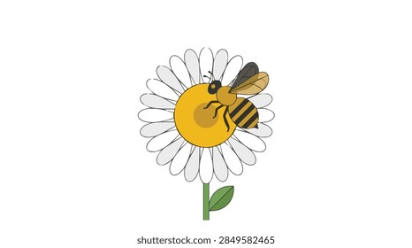 animated flat design vector graphic of a honey bee pollinating a white daisy flower on transparent background