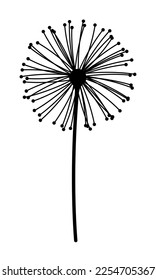 Animated Floral Elements for design, Dandelion. Cute Hand Drawing Dandelion Flower in Flat Black Doodle Style Vector Illustration Isolated on White Background