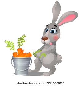 Animated grey hare and steel bucket filled with ripe carrots isolated on white background. Vector cartoon close-up illustration.