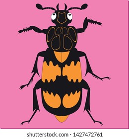 Animated insect beetle gravedigger on pink background.